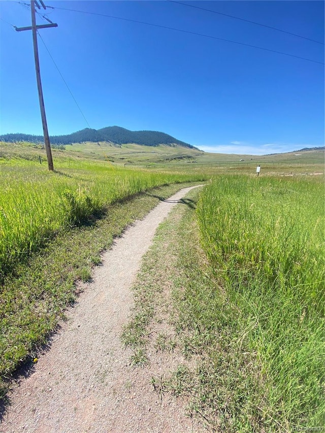 1106 Patricia Dr, Loveland, CO 80537 - photo 37