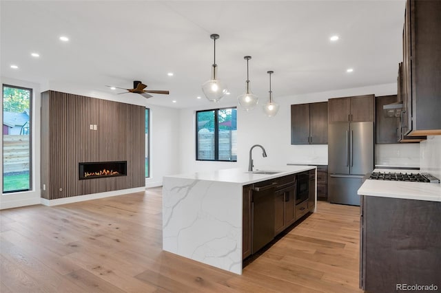 kitchen featuring a healthy amount of sunlight, sink, stainless steel appliances, and light hardwood / wood-style flooring