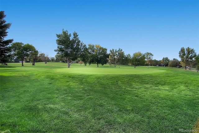 view of property's community with a lawn