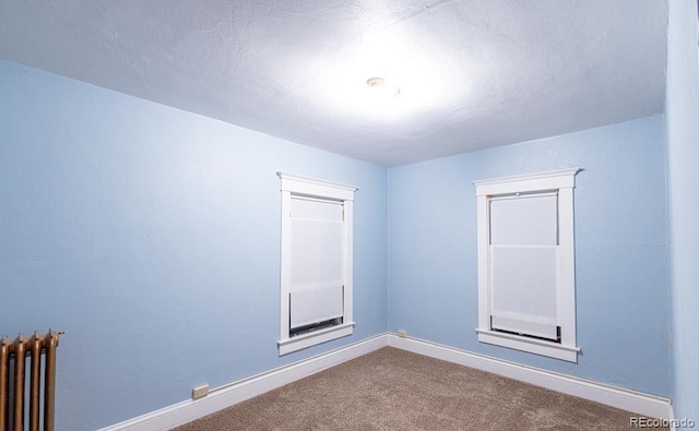 spare room with carpet floors