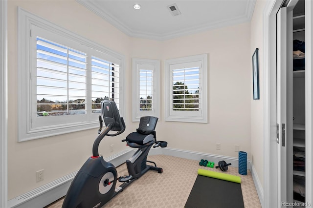 workout area featuring crown molding, a wealth of natural light, and carpet flooring