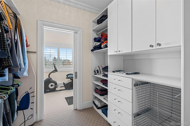 spacious closet featuring light colored carpet