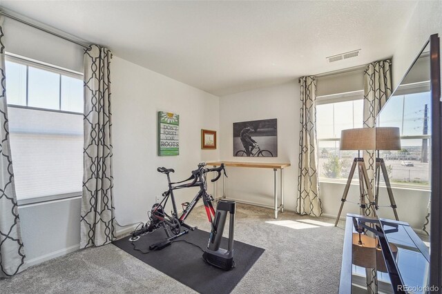 workout area with a textured ceiling and carpet