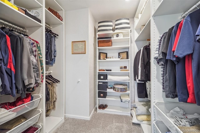 walk in closet with carpet floors