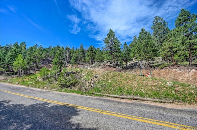 4501 County Road 72, Bailey, CO 80421 - photo 21
