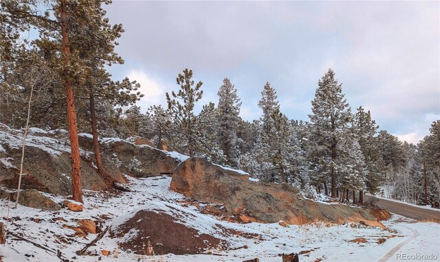 4501 County Road 72, Bailey, CO 80421 - photo 22