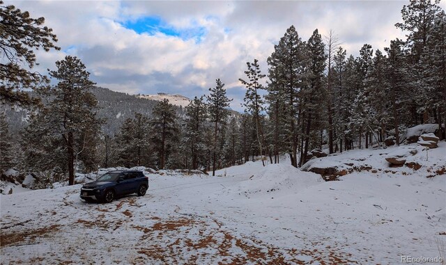 4501 County Road 72, Bailey, CO 80421 - photo 5