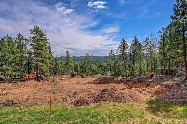 4501 County Road 72, Bailey, CO 80421 - photo 6