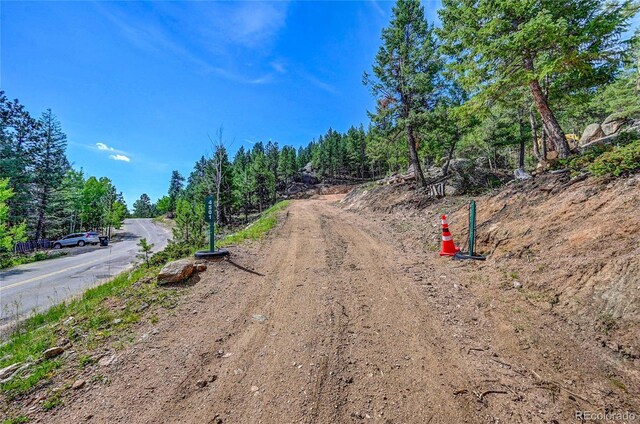 4501 County Road 72, Bailey, CO 80421 - photo 7