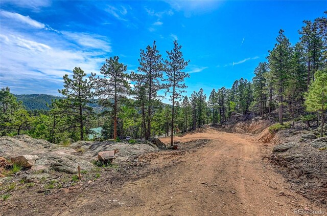 4501 County Road 72, Bailey, CO 80421 - photo 8