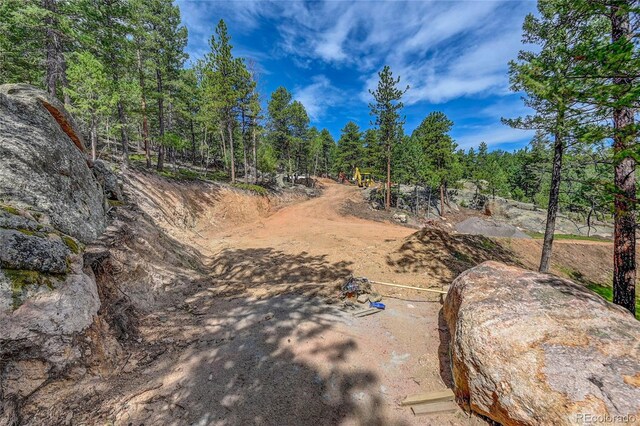 4501 County Road 72, Bailey, CO 80421 - photo 9