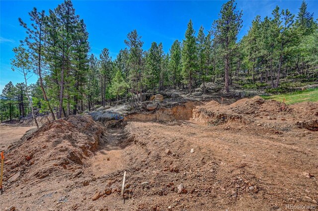 4501 County Road 72, Bailey, CO 80421 - photo 11