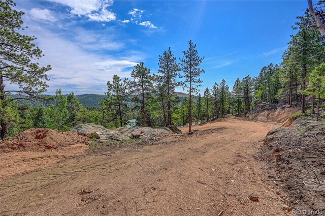 4501 County Road 72, Bailey, CO 80421 - photo 12