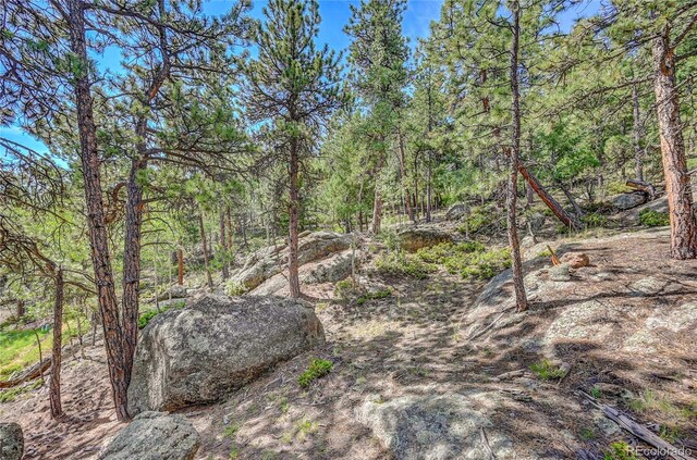 4501 County Road 72, Bailey, CO 80421 - photo 13