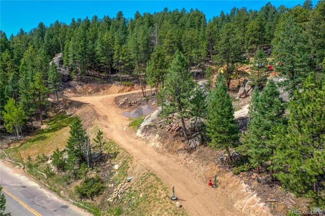 4501 County Road 72, Bailey, CO 80421 - photo 14