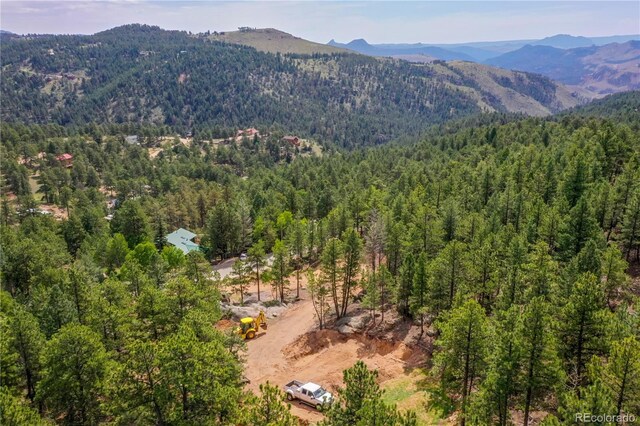 4501 County Road 72, Bailey, CO 80421 - photo 15