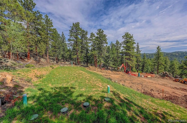 4501 County Road 72, Bailey, CO 80421 - photo 16