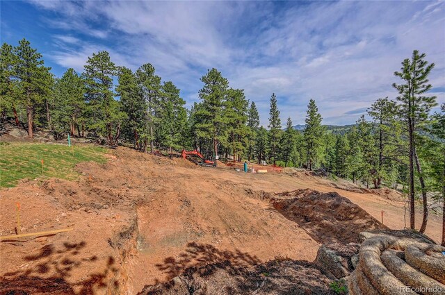 4501 County Road 72, Bailey, CO 80421 - photo 17