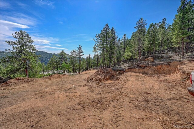 4501 County Road 72, Bailey, CO 80421 - photo 18