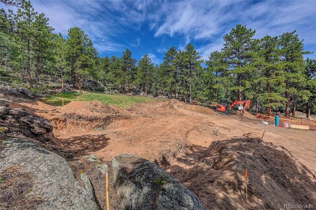 4501 County Road 72, Bailey, CO 80421 - photo 19