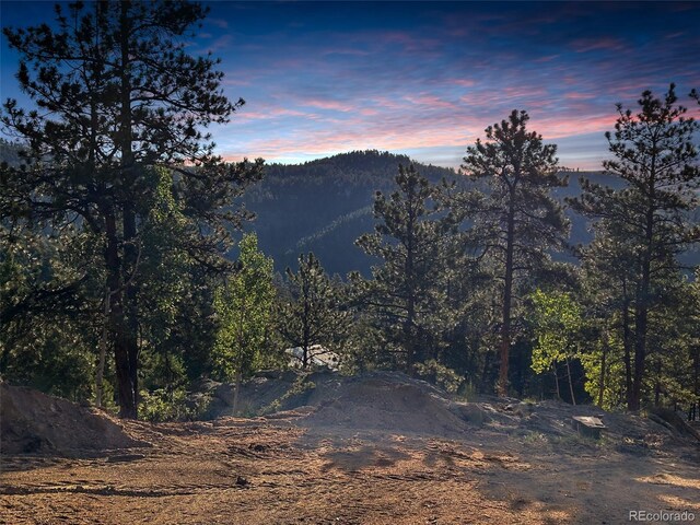 4501 County Road 72, Bailey, CO 80421 - photo 1