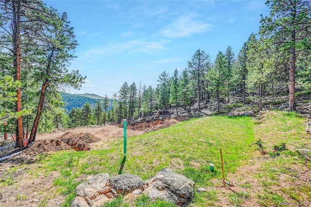 4501 County Road 72, Bailey, CO 80421 - photo 4