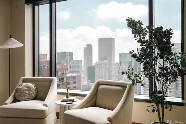 1133 14th St Unit 3420, Denver, CO 80202 - living area with a skyline view