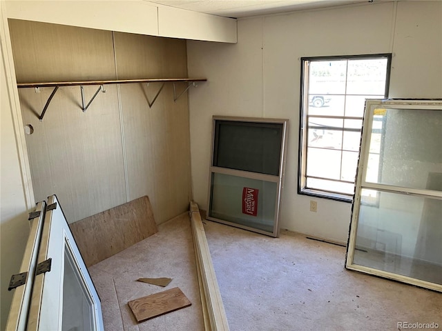 11469 Ruby Mountain Ln, Nathrop, CO 81236 - interior space with light carpet