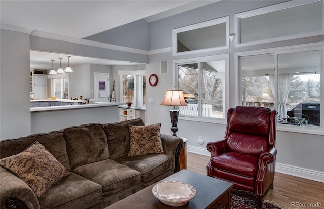 living room featuring hardwood / wood-style flooring