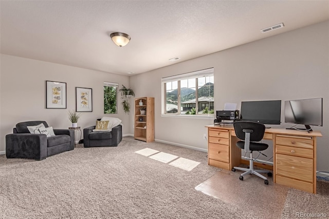 15647 Weaver Gulch Dr, Morrison, CO 80465 - office area with light colored carpet