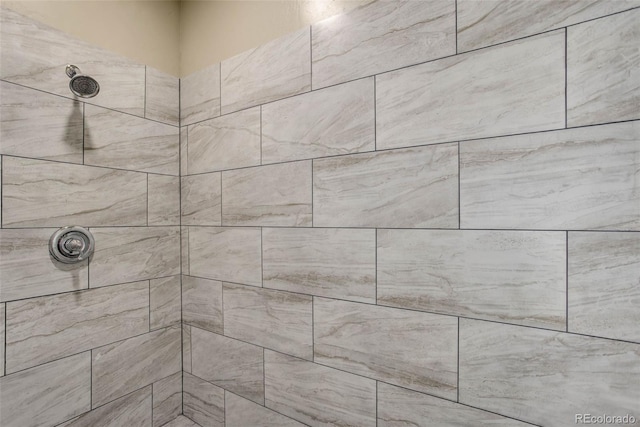 interior details featuring tiled shower