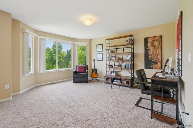 9158 Forest St, Firestone, CO 80504 - office space with carpet and baseboards