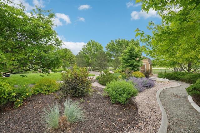 9158 Forest St, Firestone, CO 80504 - view of yard