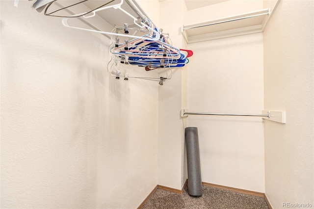 spacious closet with carpet floors