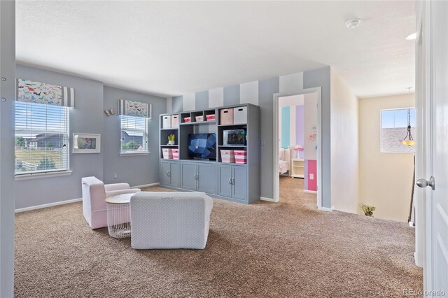 3008 Echo Park Dr, Castle Rock, CO 80104 - photo 20