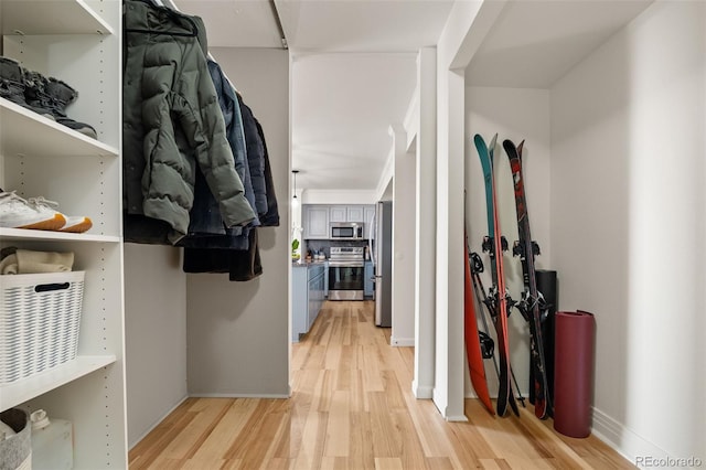 601 W 11th Ave Unit 910, Denver, CO 80204 - spacious closet featuring light wood-style flooring