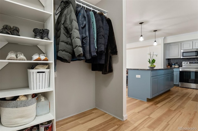 601 W 11th Ave Unit 910, Denver, CO 80204 - spacious closet featuring light wood-style floors