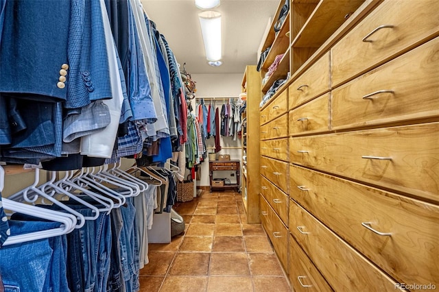 17995 Minglewood Trl, Monument, CO 80132 - view of spacious closet