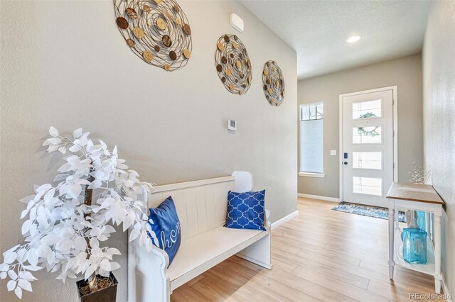 356 Boxwood Dr, Windsor, CO 80550 - photo 3