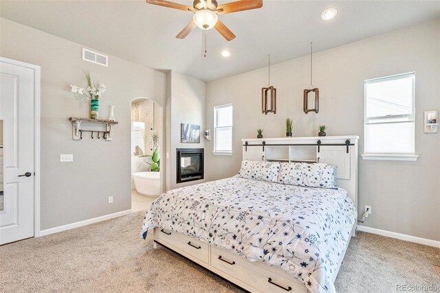 356 Boxwood Dr, Windsor, CO 80550 - photo 18