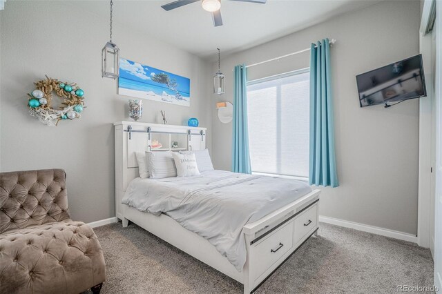 356 Boxwood Dr, Windsor, CO 80550 - photo 22