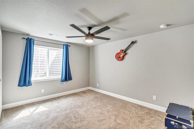 356 Boxwood Dr, Windsor, CO 80550 - photo 27
