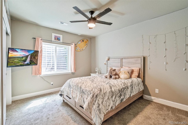 356 Boxwood Dr, Windsor, CO 80550 - photo 28