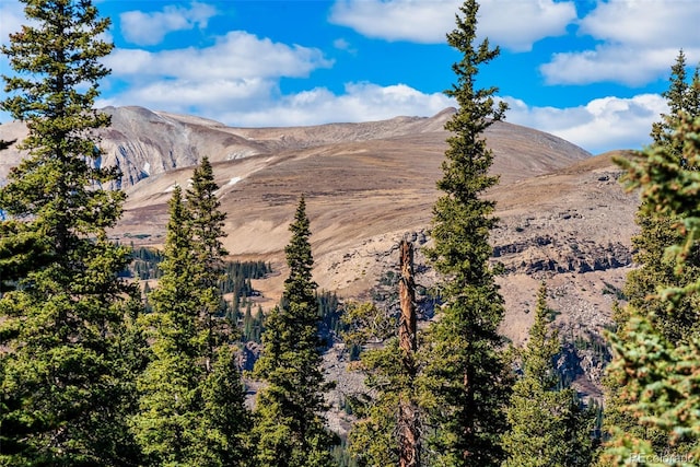 view of mountain feature