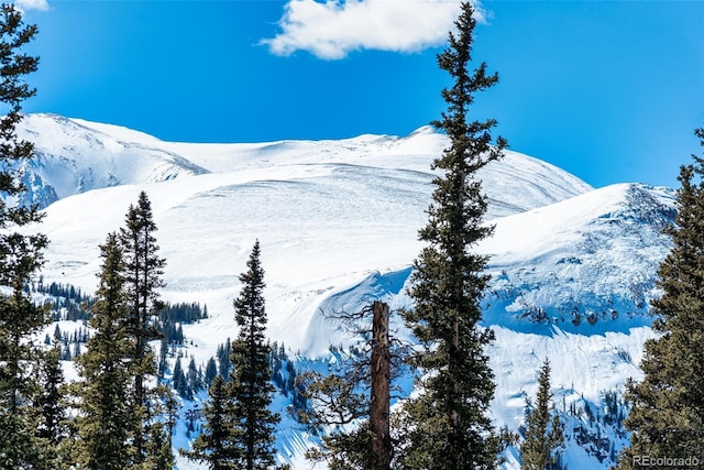 property view of mountains