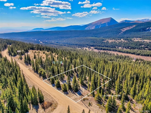 aerial view with a mountain view