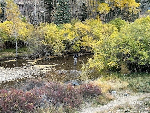 1890 Argentine St Unit D203, Georgetown, CO 80444 - view of wooded area
