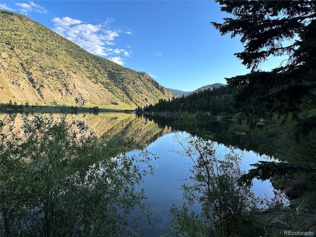 1890 Argentine St Unit D203, Georgetown, CO 80444 - water view featuring a forest and a mountainous background