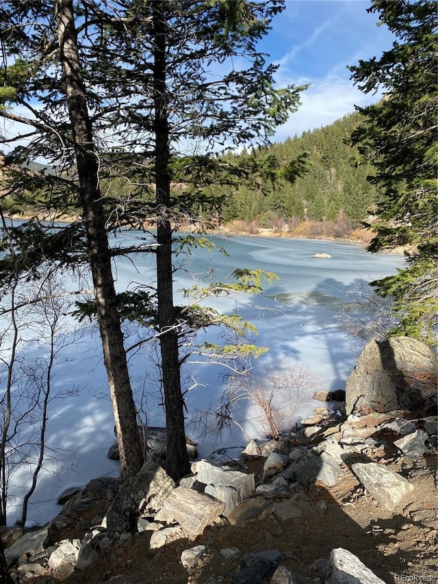 1890 Argentine St Unit D203, Georgetown, CO 80444 - water view with a heavily wooded area
