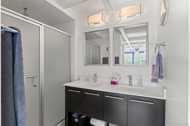 bathroom featuring vanity and a shower with shower door